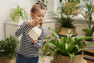 Photo of Cute little girl watering beautiful green plant at home. House decor