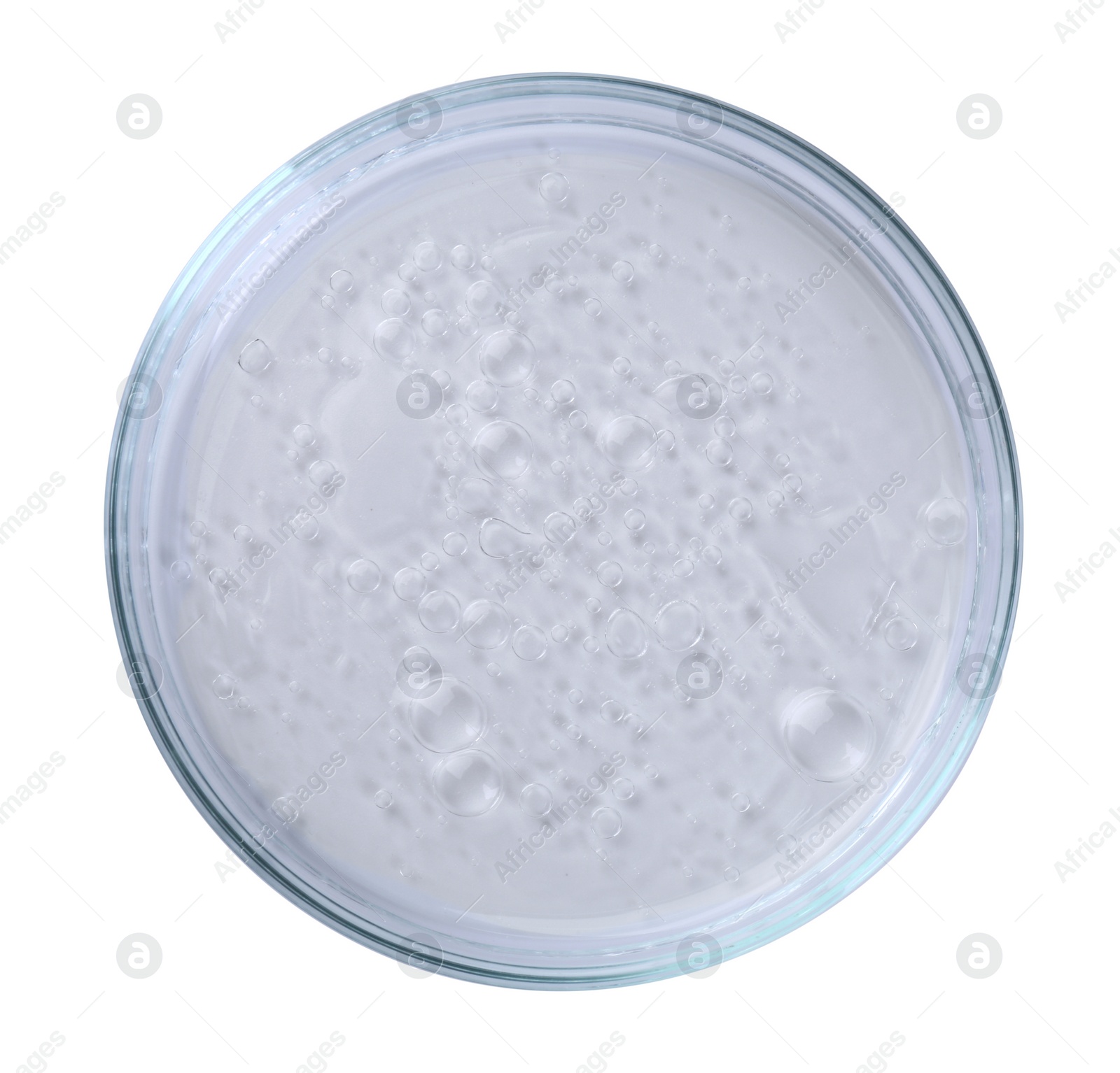 Photo of Petri dish with liquid sample isolated on white, top view