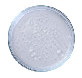 Photo of Petri dish with liquid sample isolated on white, top view