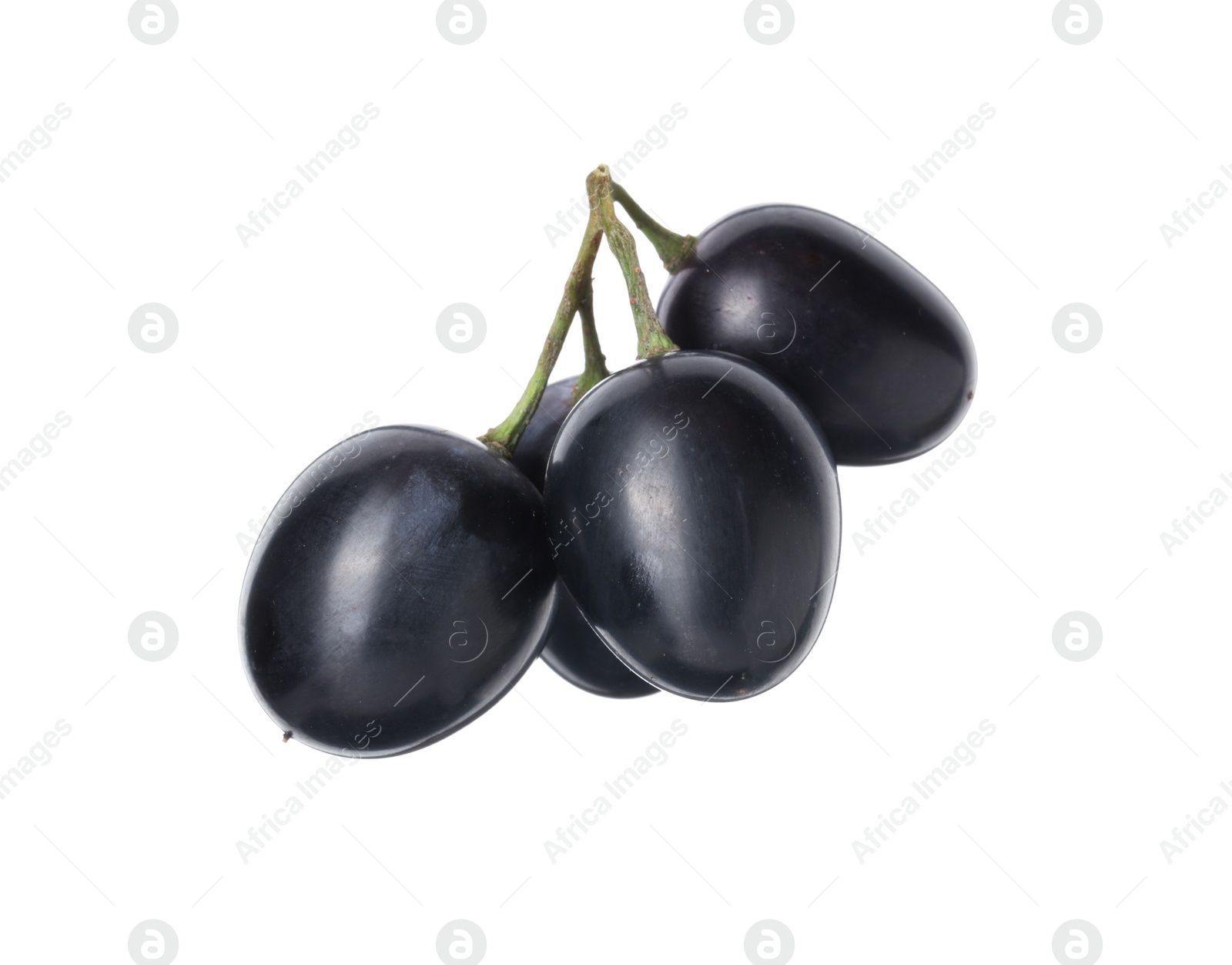 Photo of Delicious ripe dark blue grapes isolated on white