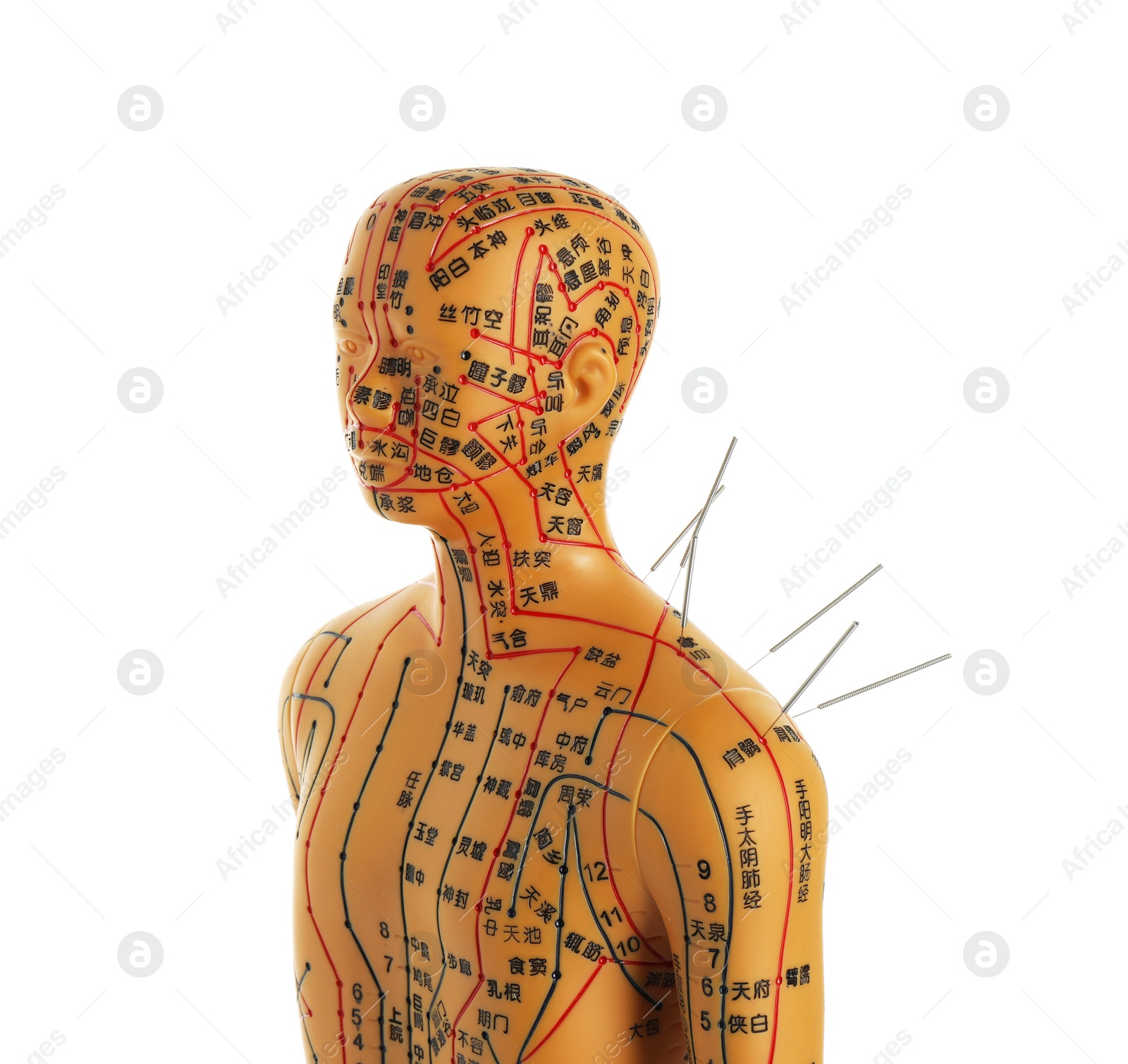 Photo of Acupuncture - alternative medicine. Human model with needles in shoulder isolated on white