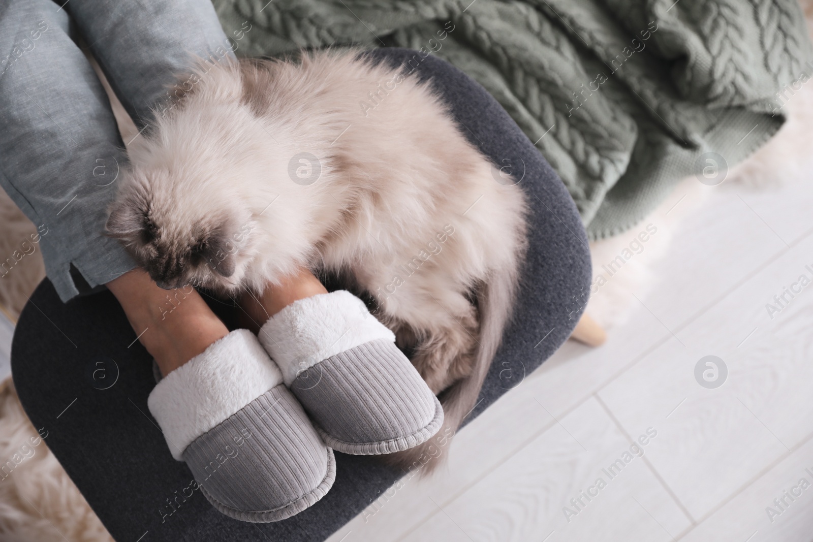Photo of Woman in stylish soft slippers resting with cute cat at home, top view
