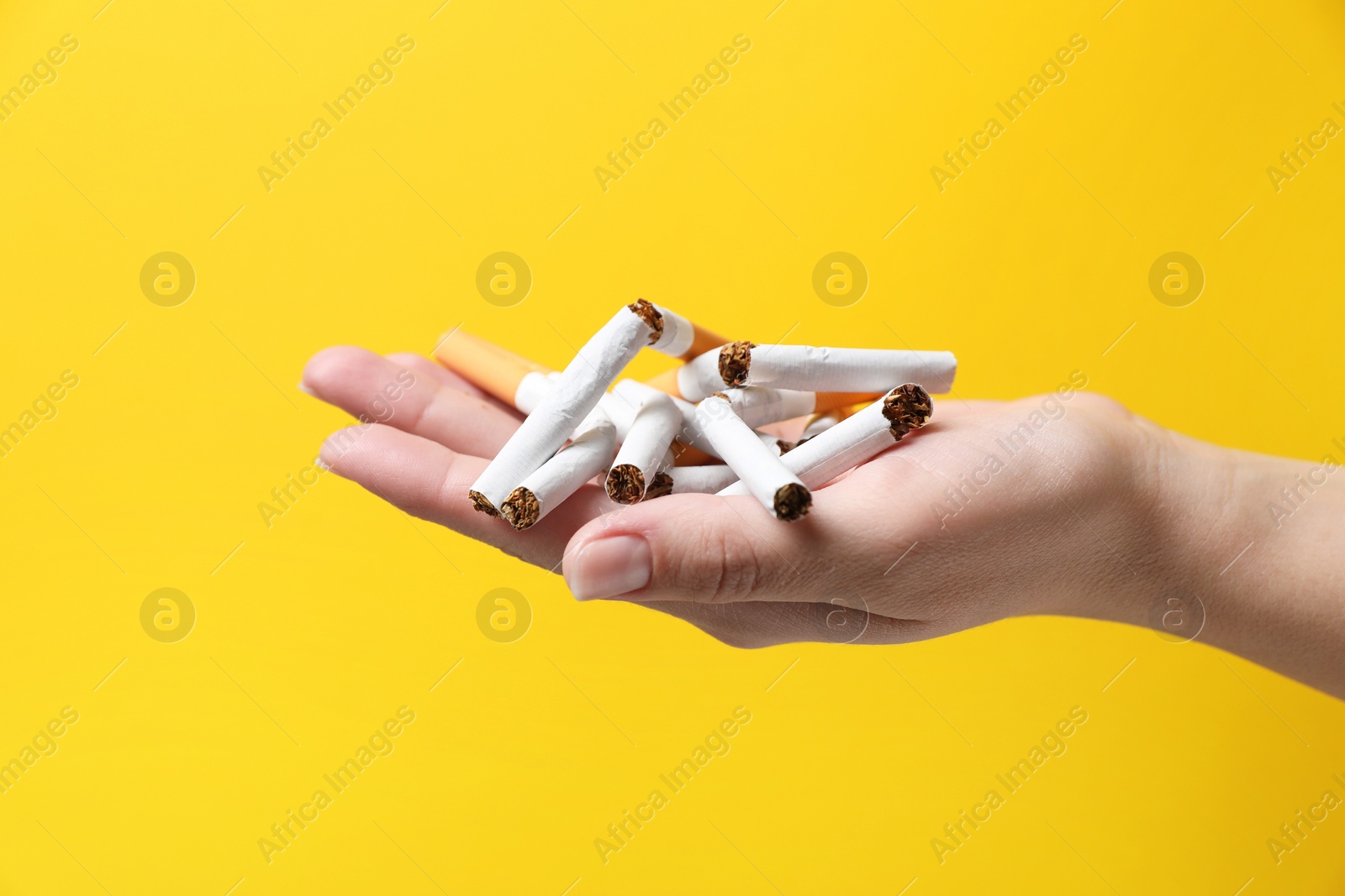 Photo of Stop smoking. Woman holding broken cigarettes on yellow background, closeup