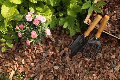 Photo of Soil mulched with bark chips, fork and trowel near flowers in garden, flat lay