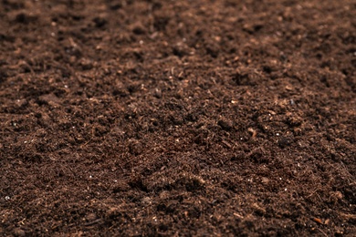 Photo of Fresh soil for gardening as background, closeup