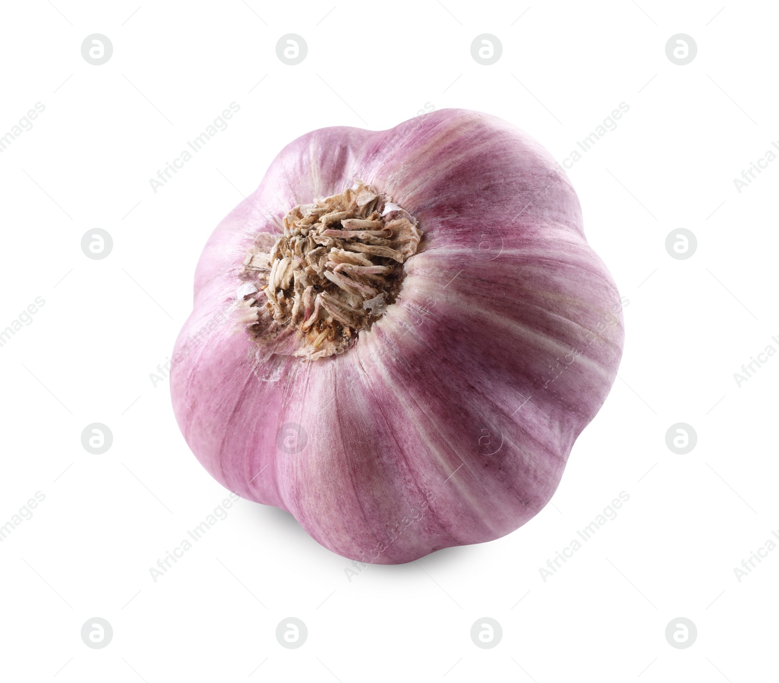 Photo of Fresh raw garlic head isolated on white