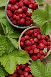 Photo of Fresh wild strawberries in bowls and leaves on table, flat lay