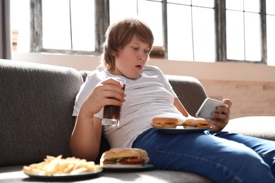 Overweight boy with fast food on sofa at home