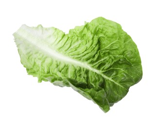 Fresh leaf of green romaine lettuce isolated on white