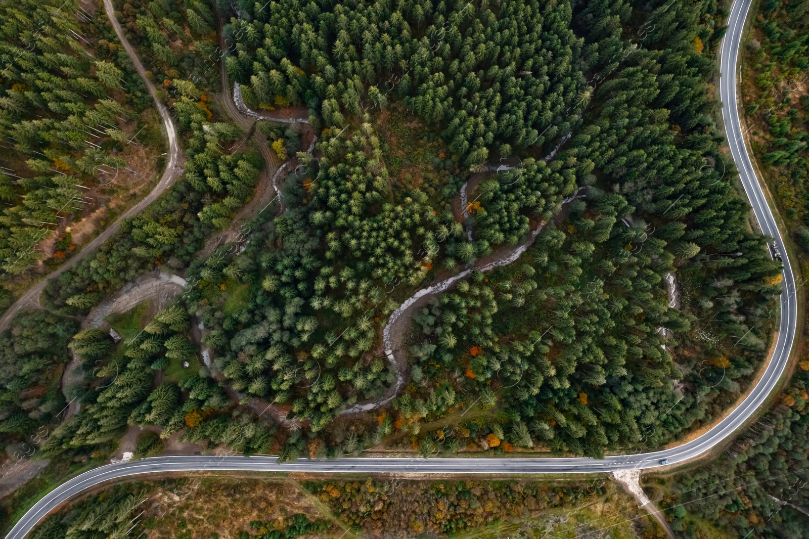 Image of Aerial view of beautiful forest and road on autumn day