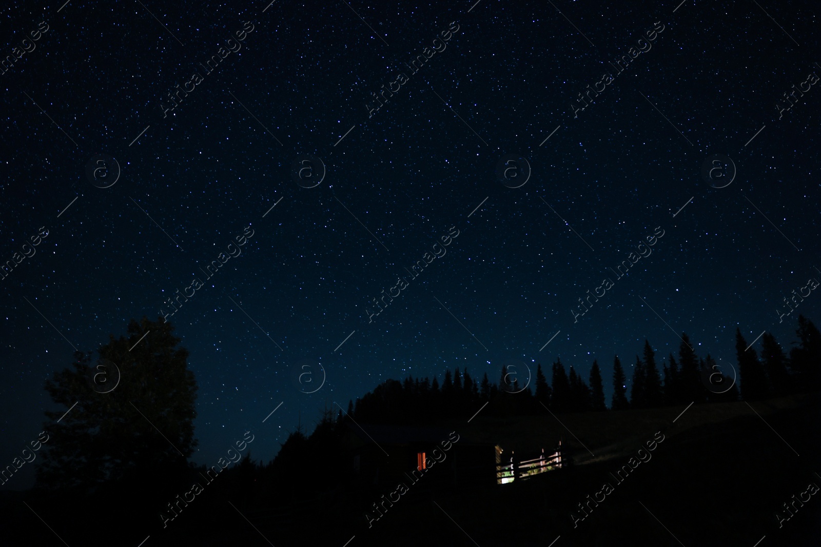 Photo of Beautiful view of house near dark forest under starry sky at night