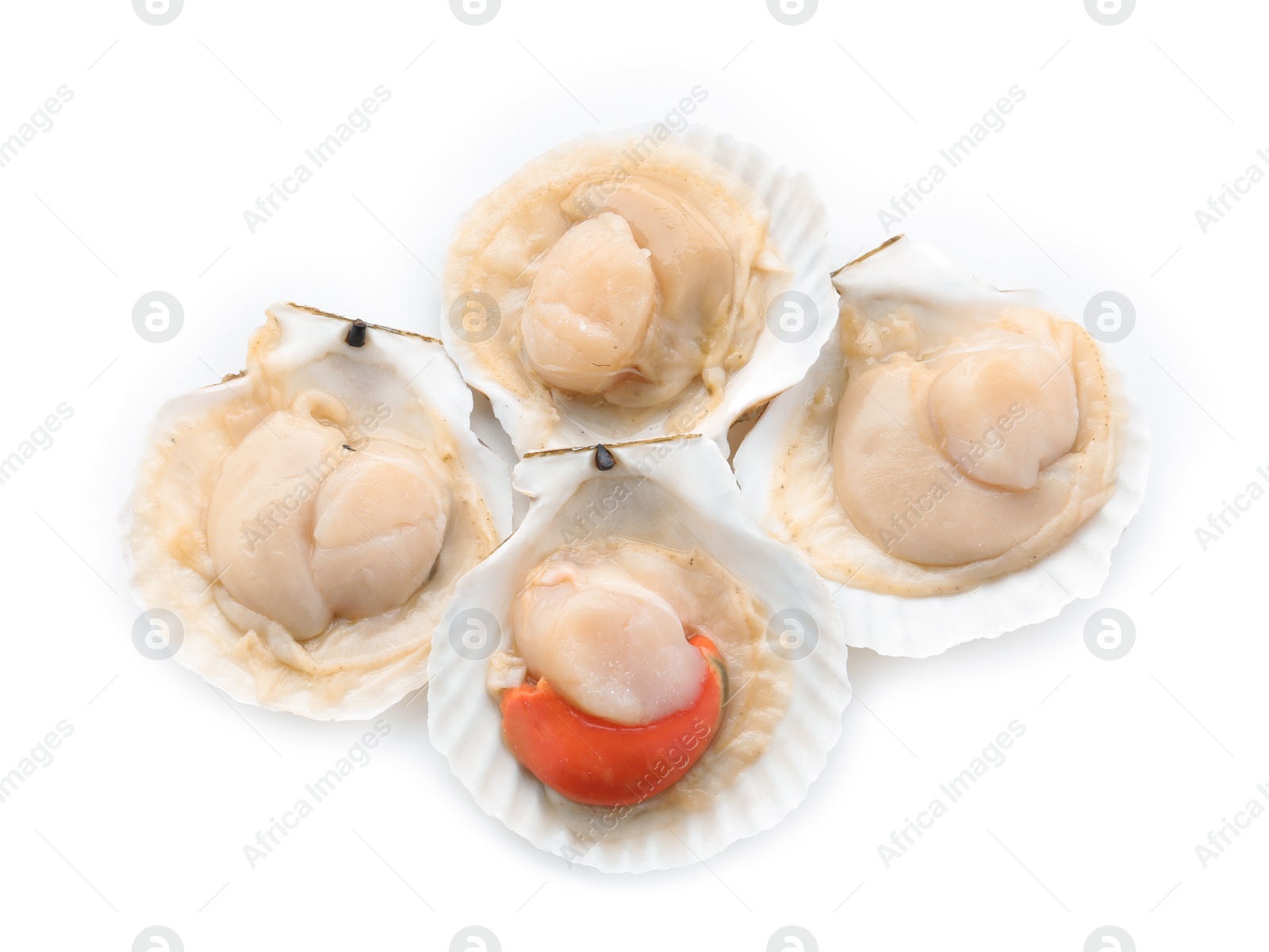 Photo of Fresh raw scallops in shells isolated on white, top view