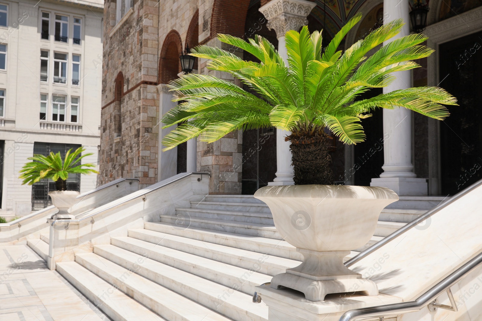 Photo of Beautiful green palm trees near building on sunny day