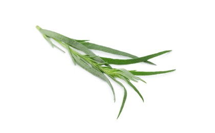 One sprig of fresh tarragon on white background