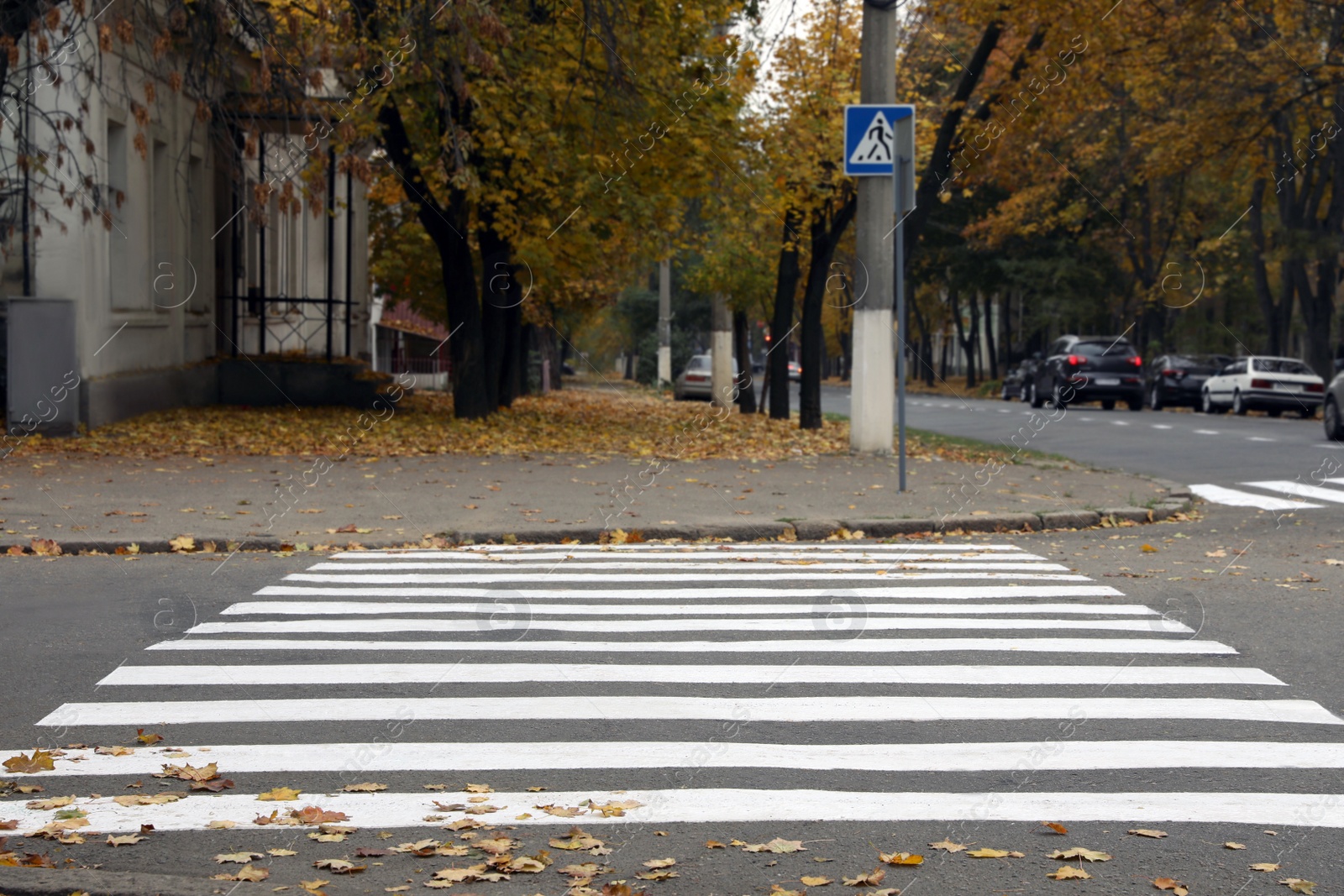 Photo of Pedestrian crossing on empty city street in autumn