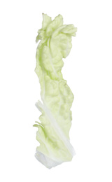 Cut fresh napa cabbage isolated on white