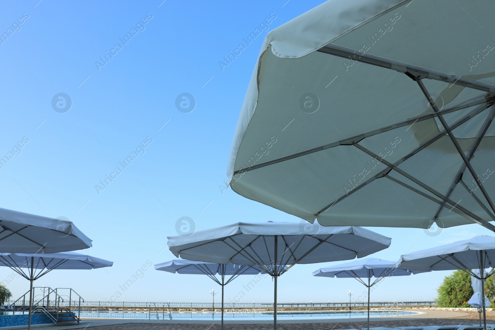 Photo of Beach umbrellas near outdoor swimming pool at resort