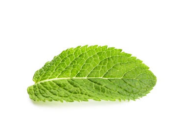 Fresh green mint leaf on white background