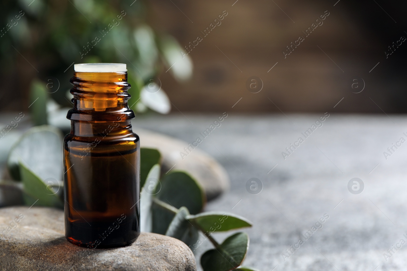 Photo of Bottle of eucalyptus essential oil and plant branch on light grey table, space for text