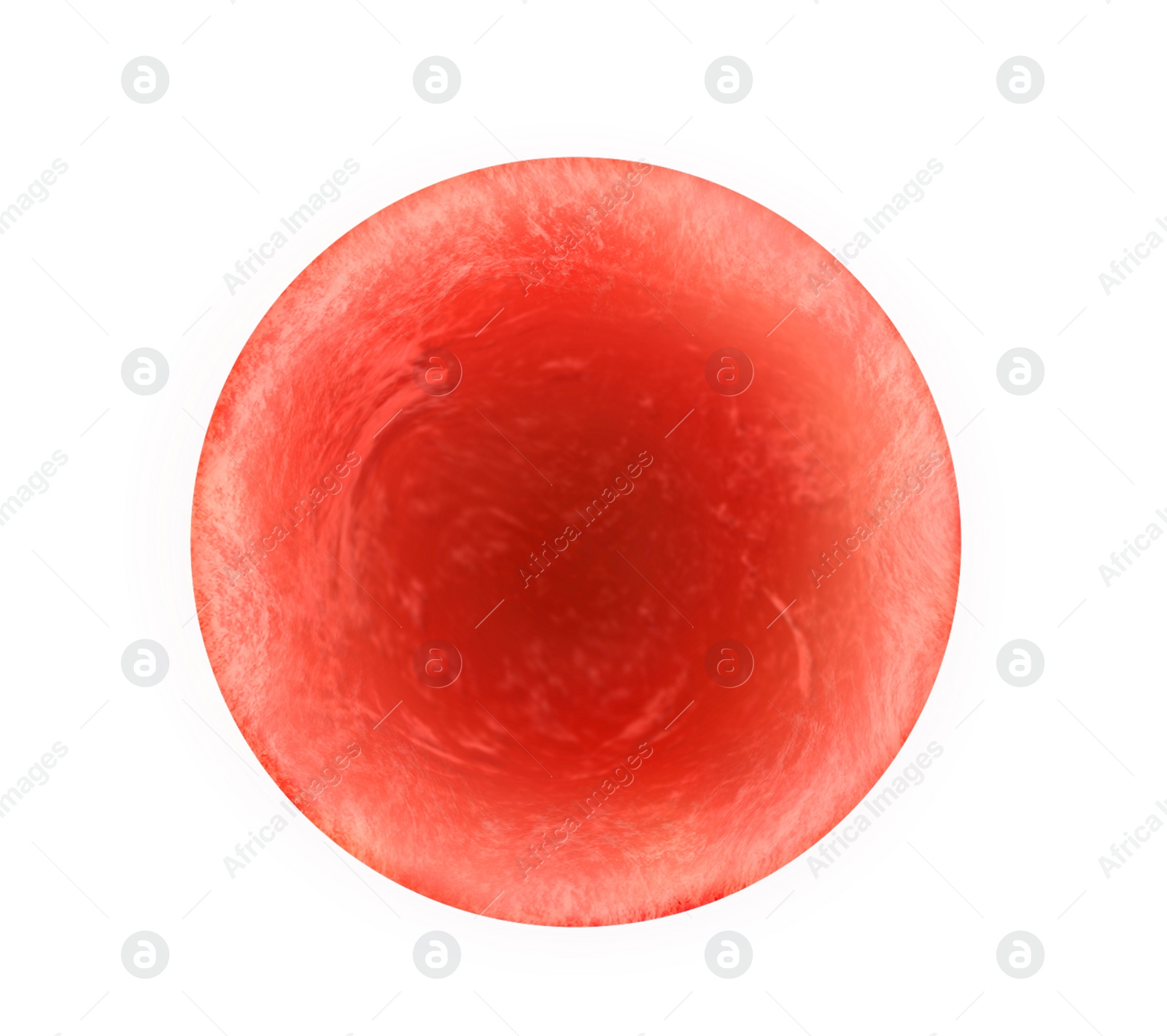 Illustration of Ovum (egg cell) on white background, illustration