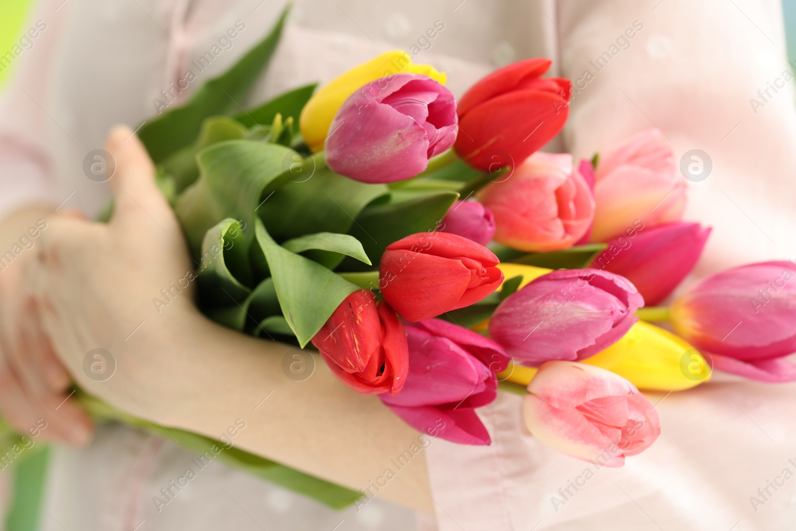 Photo of Woman holding beautiful colorful tulip flowers, closeup