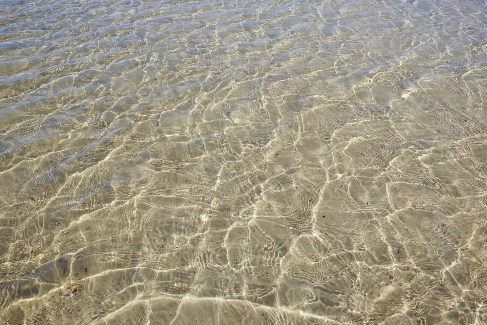Photo of Surface of pure sea water on sunny day