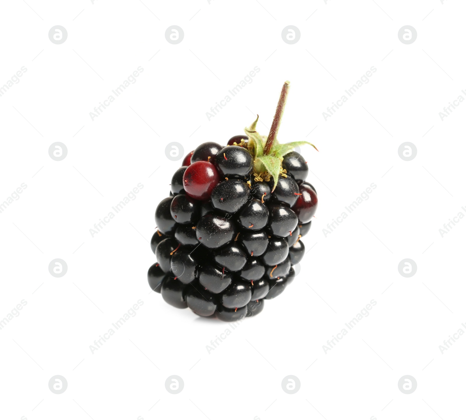 Photo of One tasty ripe blackberry isolated on white