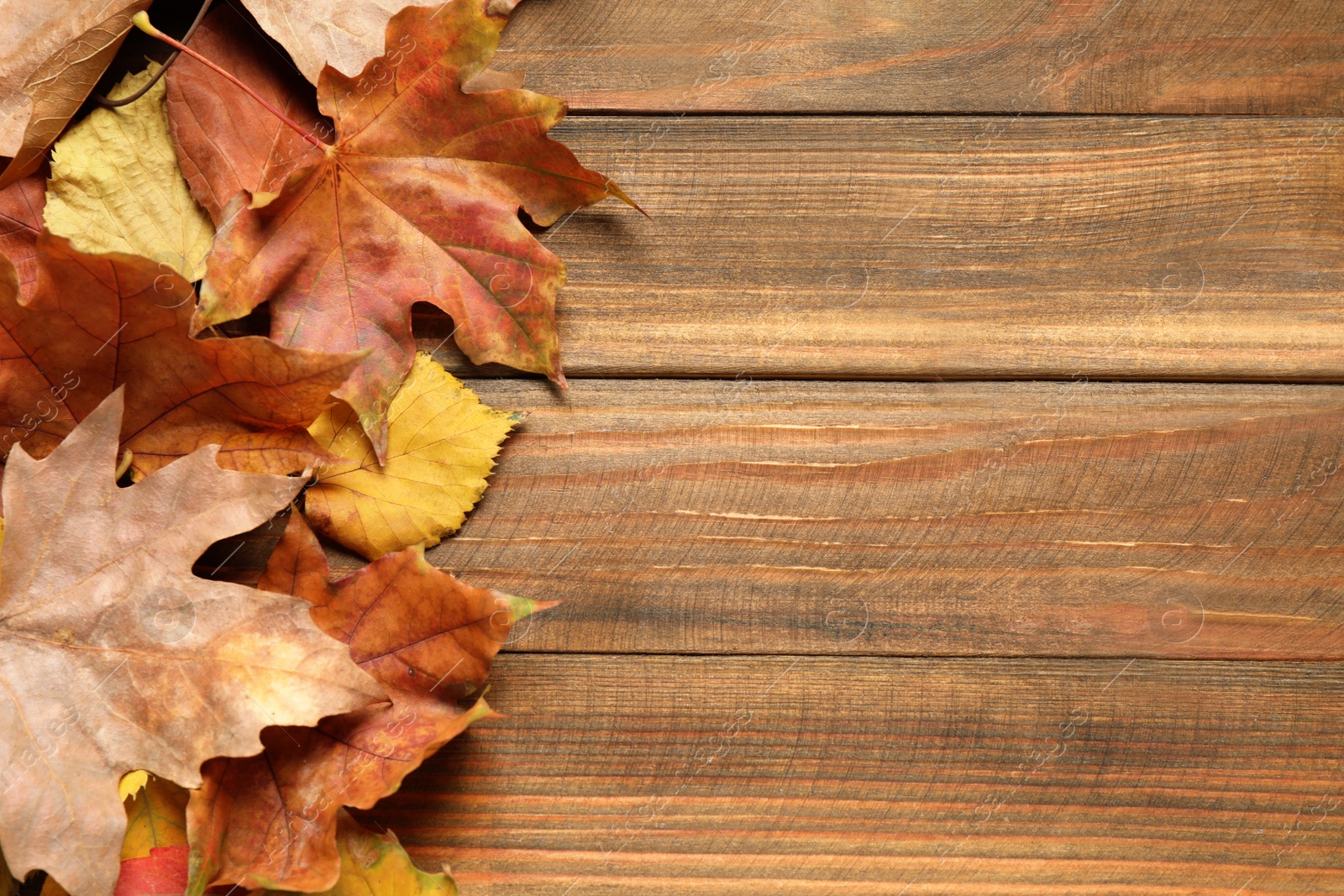 Photo of Flat lay composition with autumn leaves on wooden background. Space for text