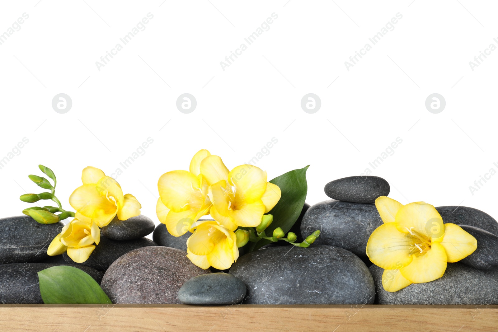 Photo of Wooden tray with spa stones and freesia flowers on white background