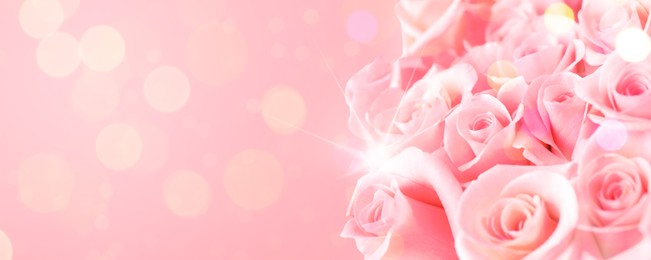 Image of Bouquet of beautiful roses on pink background, space for text. Banner design