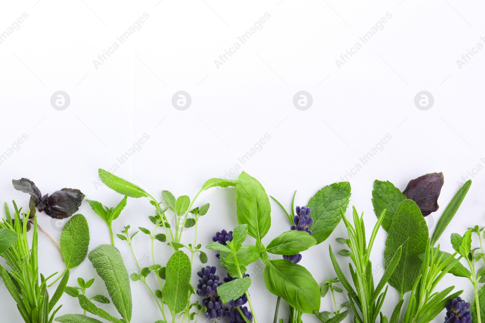 Photo of Many different aromatic herbs on white background, flat lay. Space for text