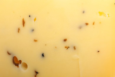 Delicious truffle cheese as background, closeup view