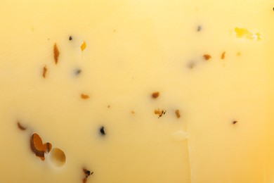 Photo of Delicious truffle cheese as background, closeup view