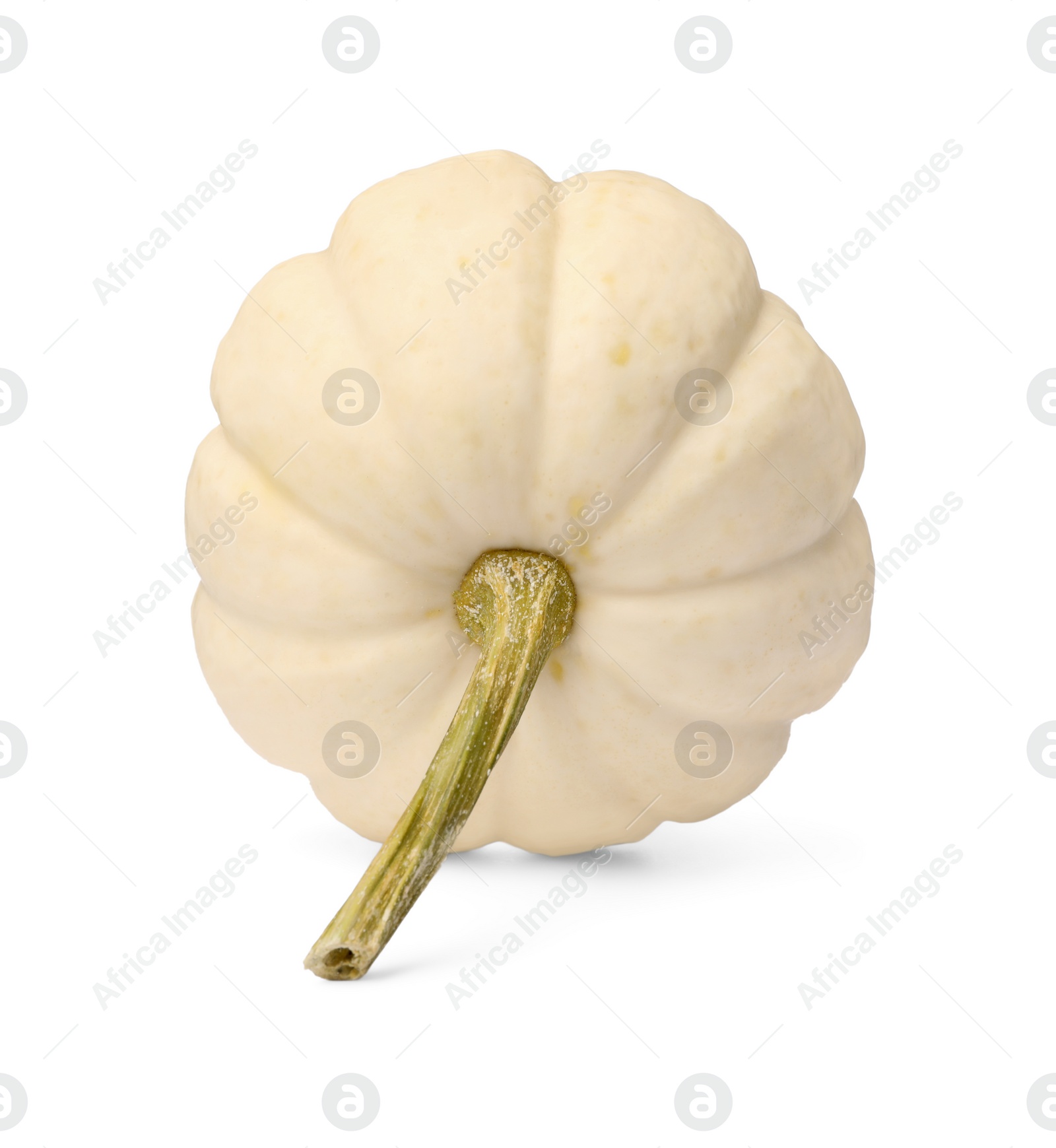 Photo of One whole ripe pumpkin isolated on white