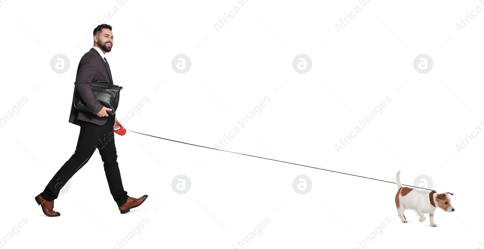 Image of Smiling businessman walking with dog on white background