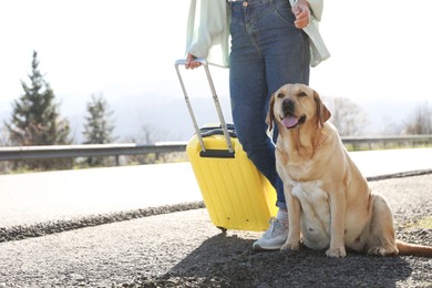 Photo of Woman with yellow suitcase and adorable dog near road outdoors, closeup. Traveling with pet