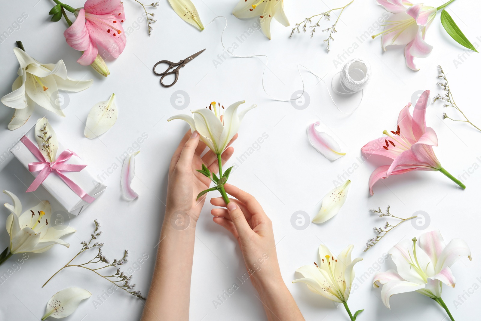 Photo of Woman with beautiful lily flower on white background, top view