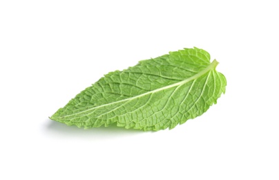 Fresh green mint leaf on white background