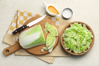 Cut fresh Chinese cabbage, oil and salt on light table, flat lay