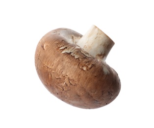 Photo of Fresh champignon mushroom isolated on white. Healthy food