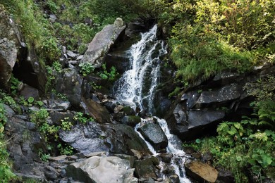 Picturesque view of mountain waterfall and green plants