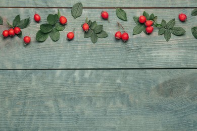Photo of Ripe rose hip berries with green leaves on light blue wooden table, flat lay. Space for text