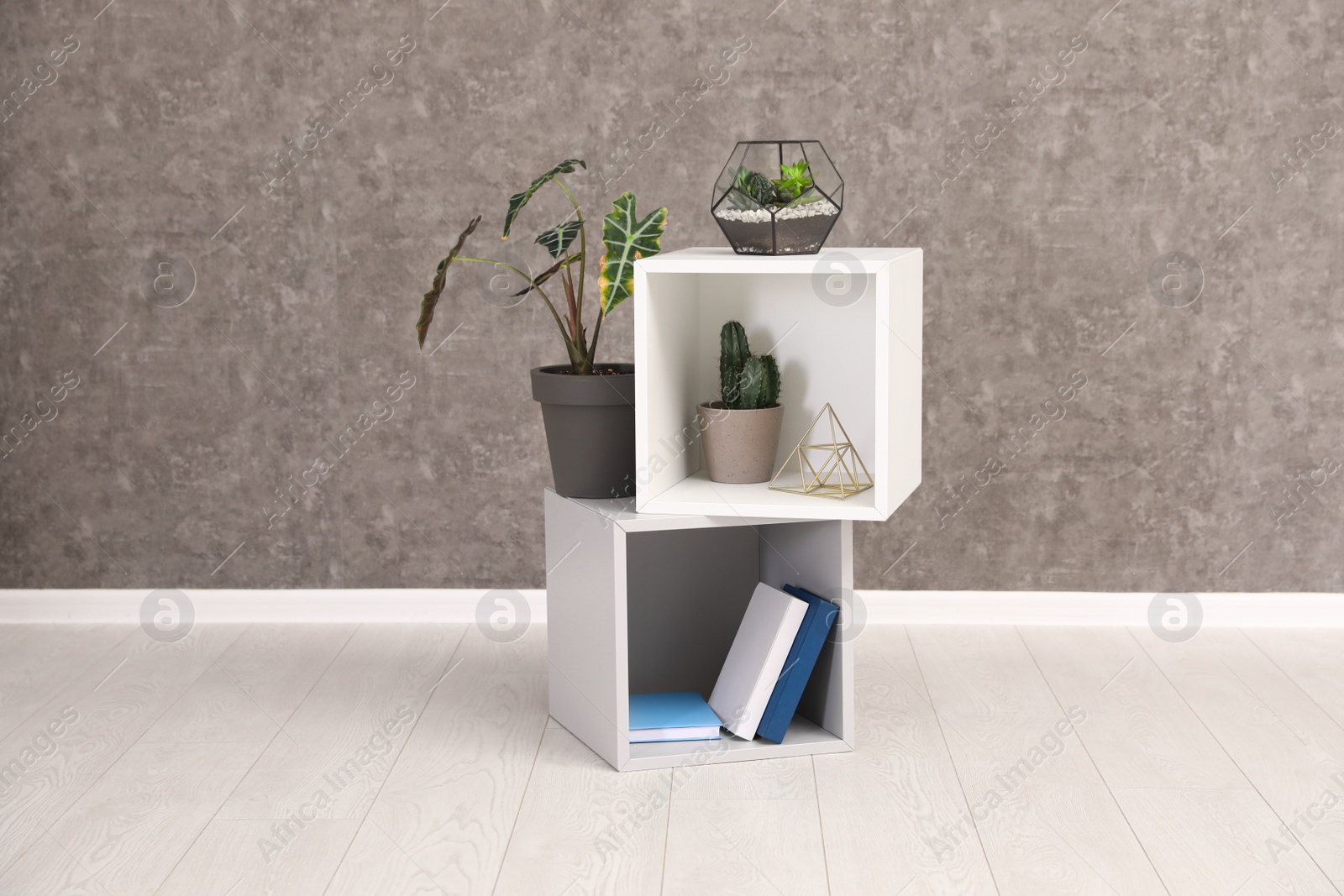 Photo of Shelving unit with indoor plants and books for interior design on floor at grey wall. Trendy home decor