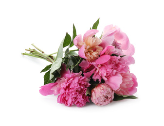 Bouquet of beautiful peonies on white background