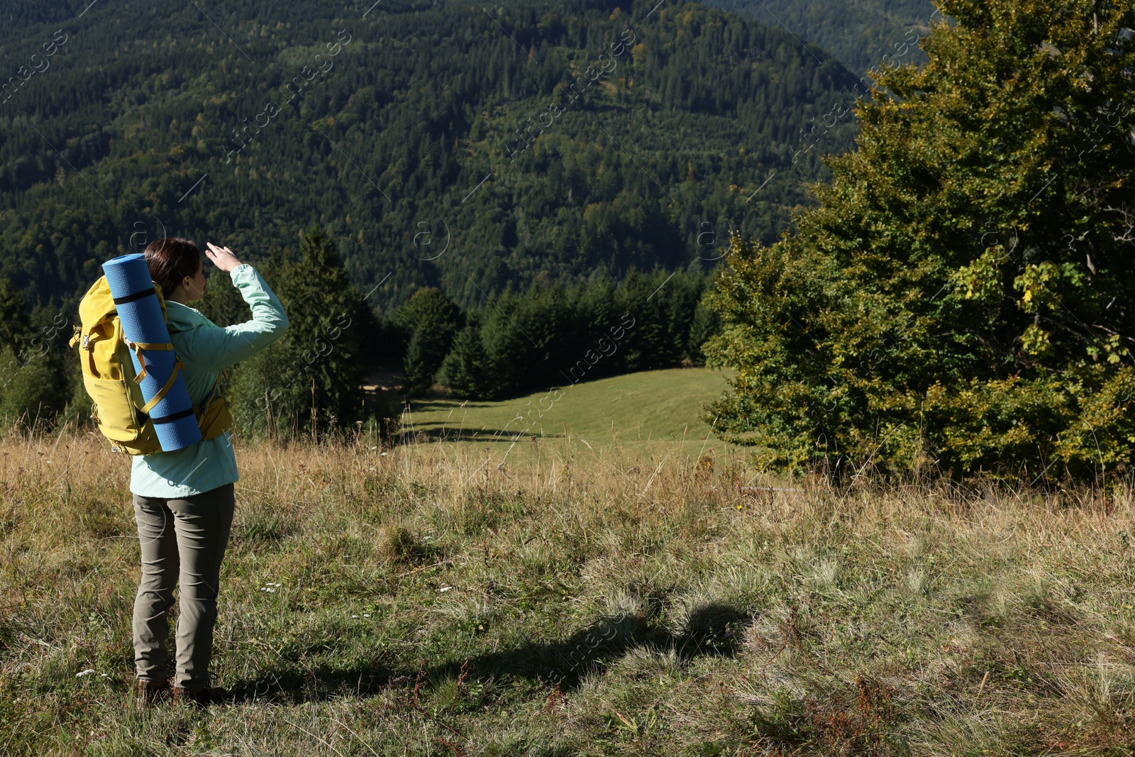 Photo of Tourist with backpack enjoying view in mountains on sunny day