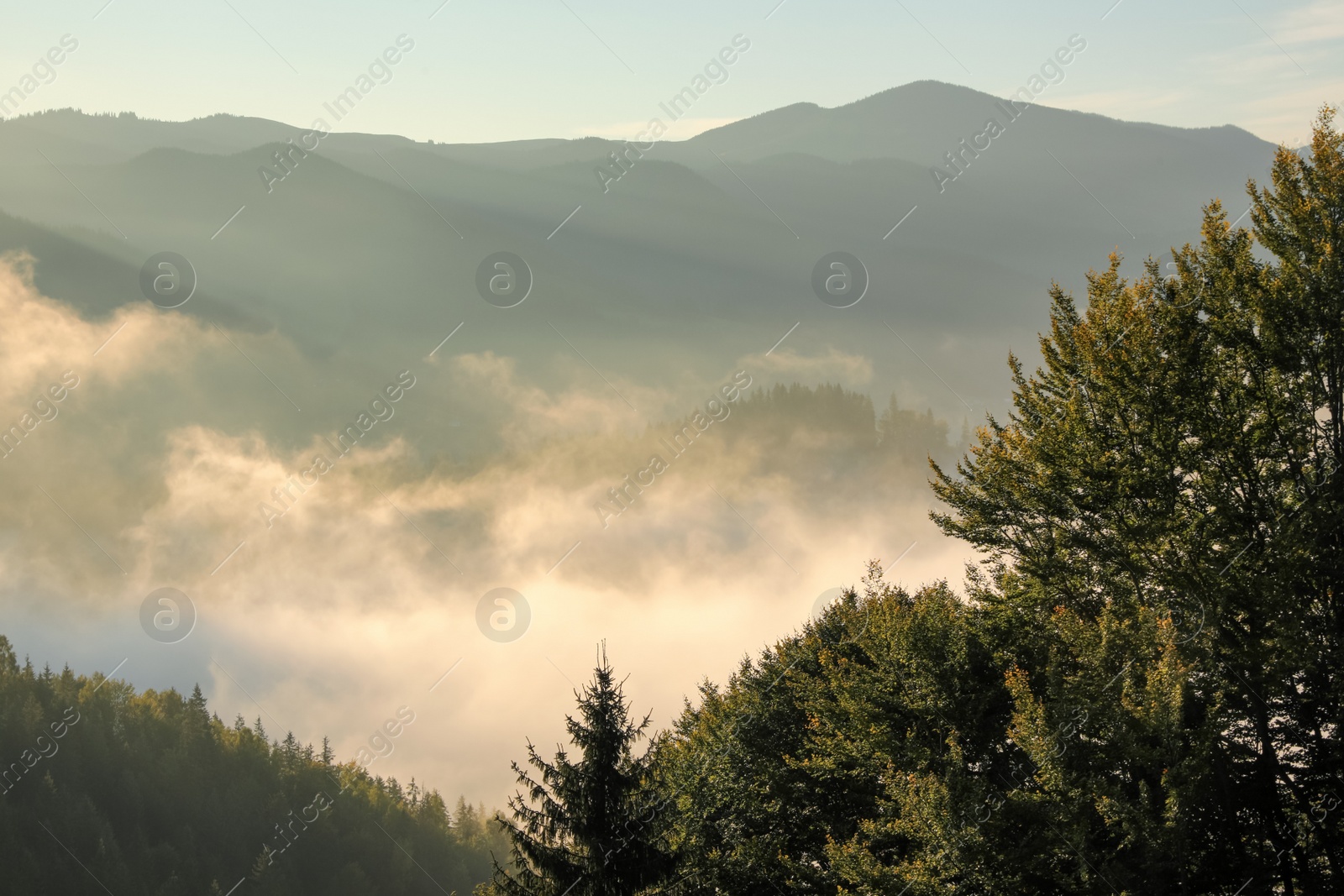 Photo of Beautiful view of mountains covered with fog at sunrise