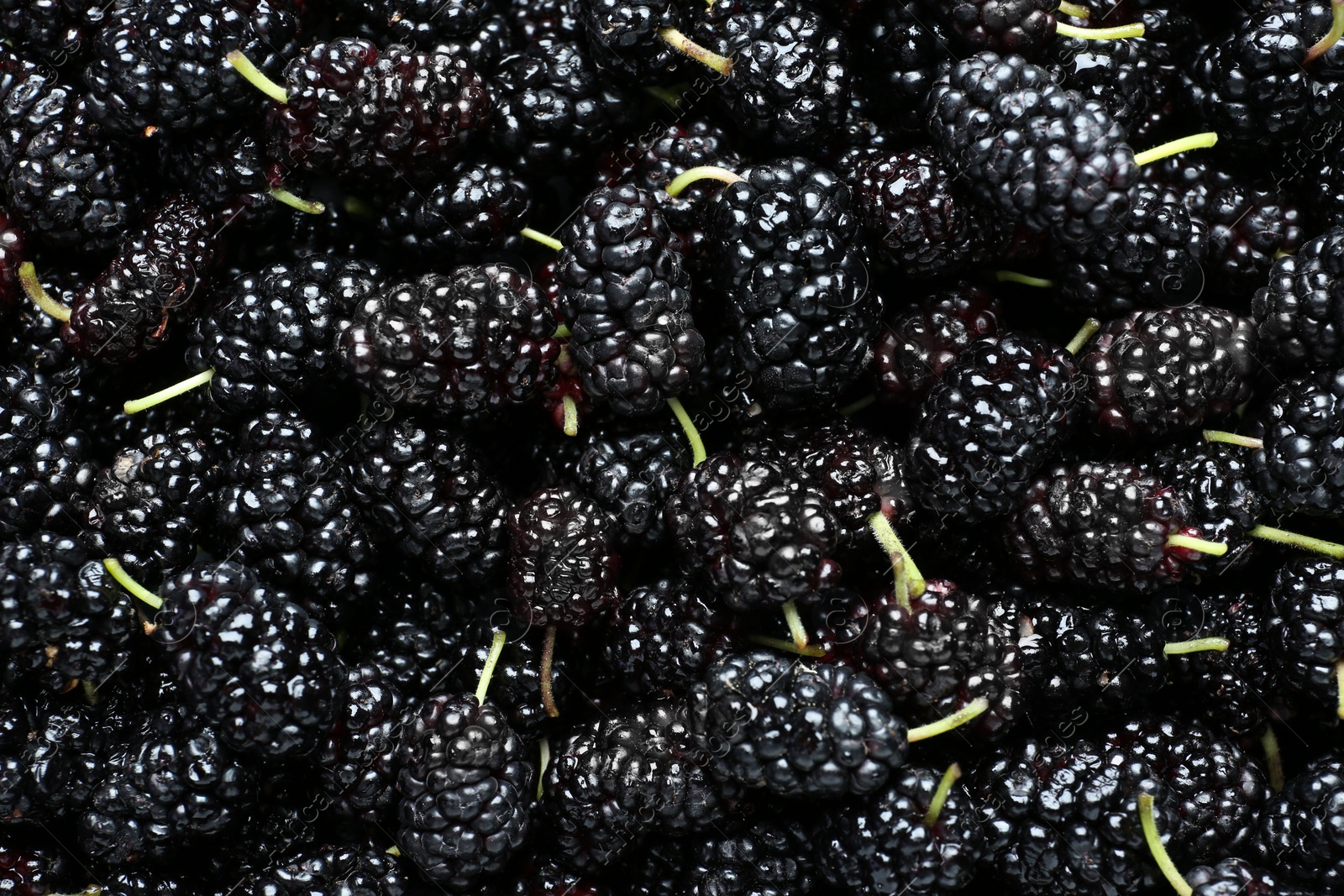 Photo of Ripe black mulberries as background, top view