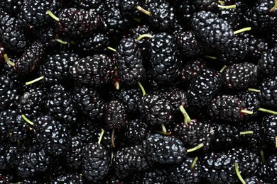 Photo of Ripe black mulberries as background, top view