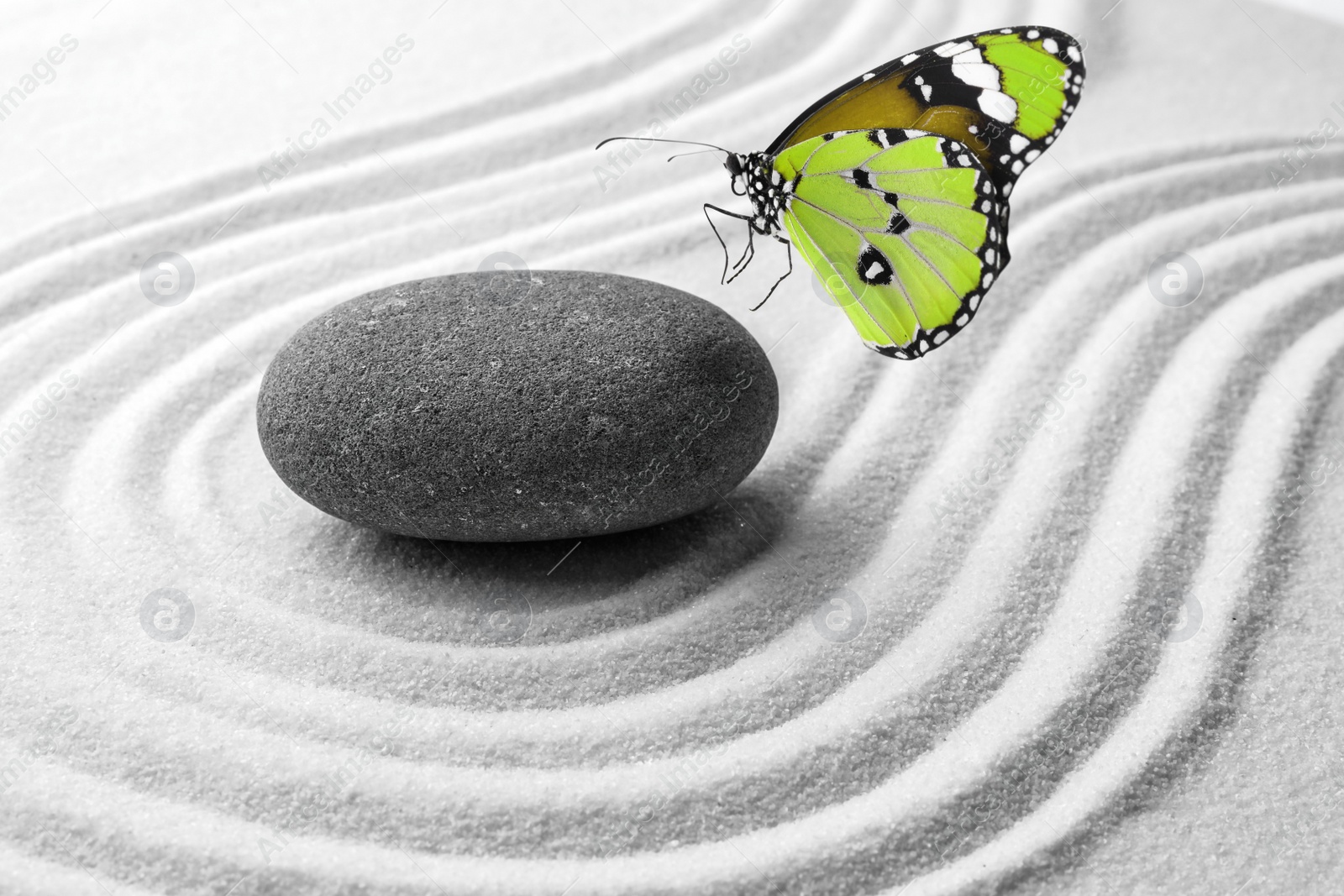 Image of Beautiful butterfly and stone on white sand with pattern. Zen concept