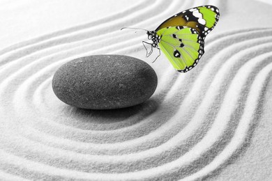 Beautiful butterfly and stone on white sand with pattern. Zen concept